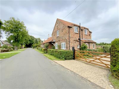 Picture 43